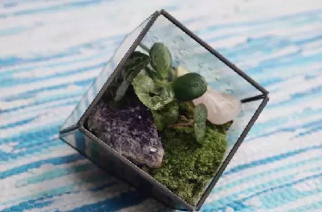 7-12月宝宝蒙氏亲子游戏,100个经典蒙氏小游戏总结