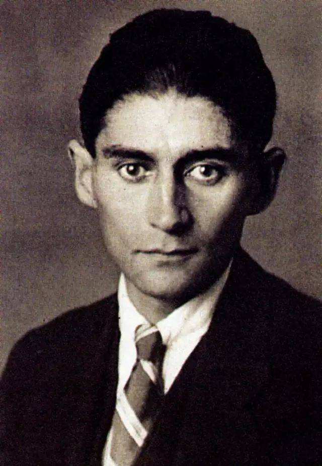 卡夫卡变形记原文赏析,卡夫卡变形记的解说