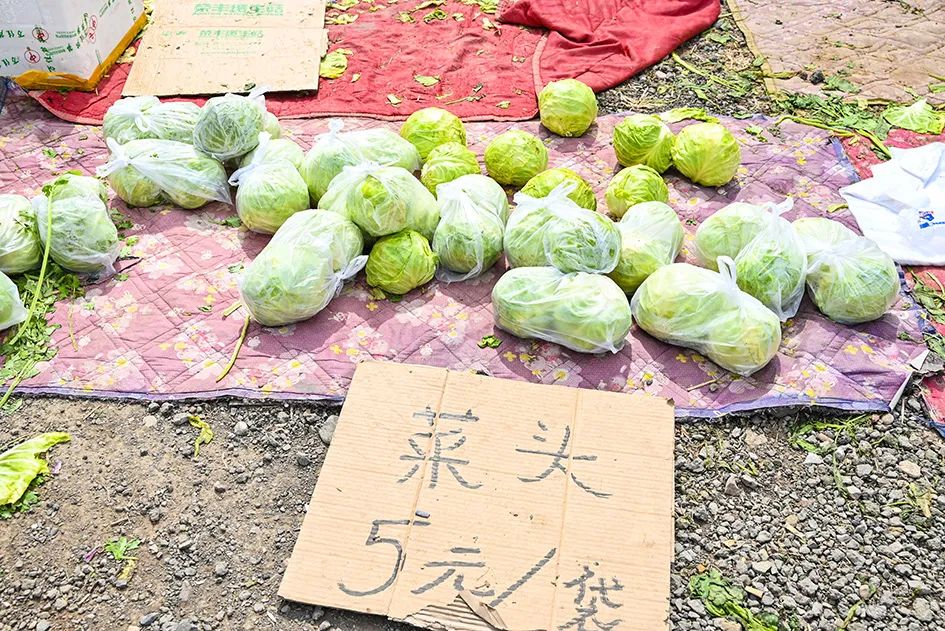 北京京郊大集地理位置,今天京郊哪有大集