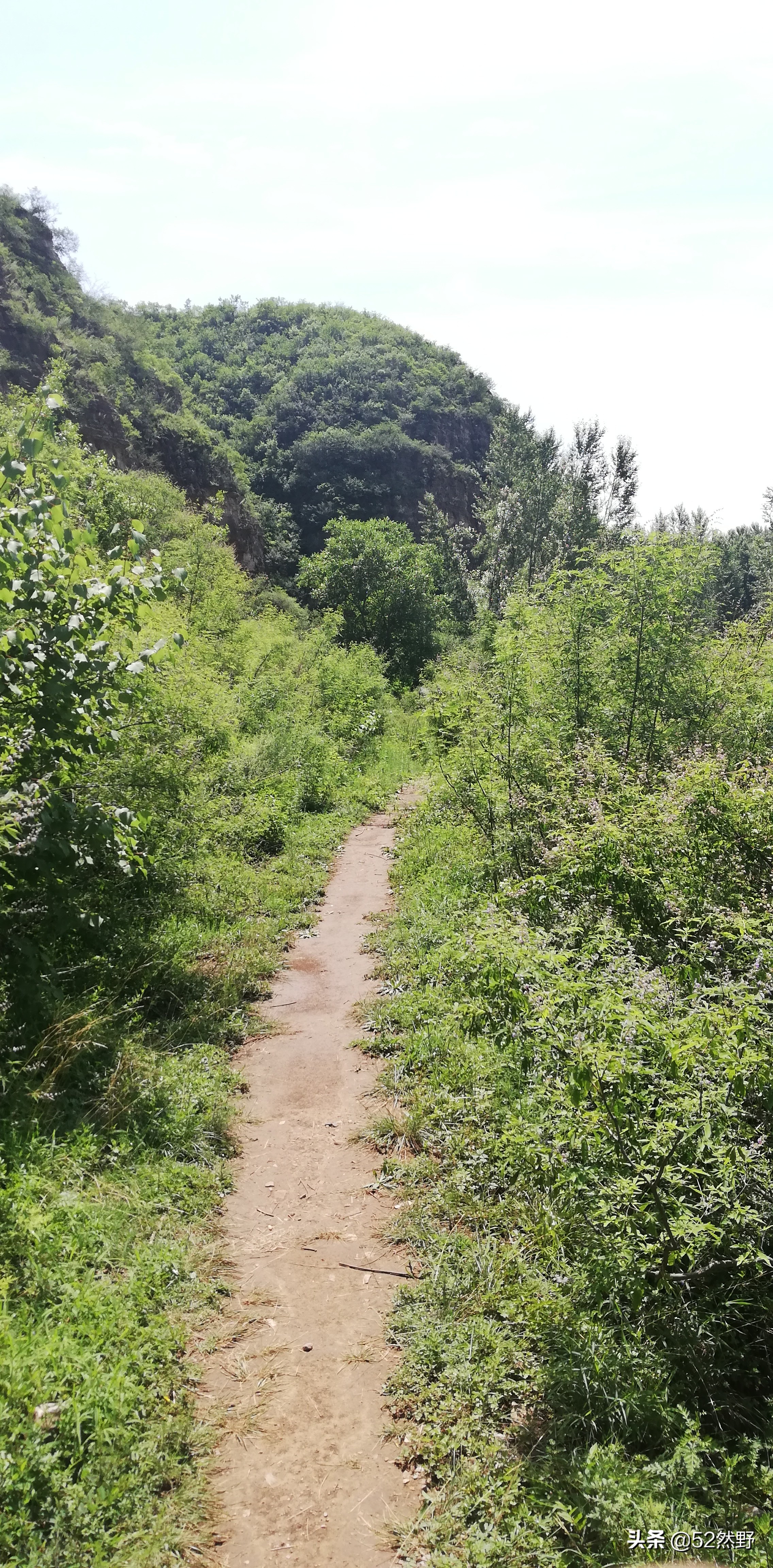 燕山唯一丹霞长嵯，山村溪水野草闲花