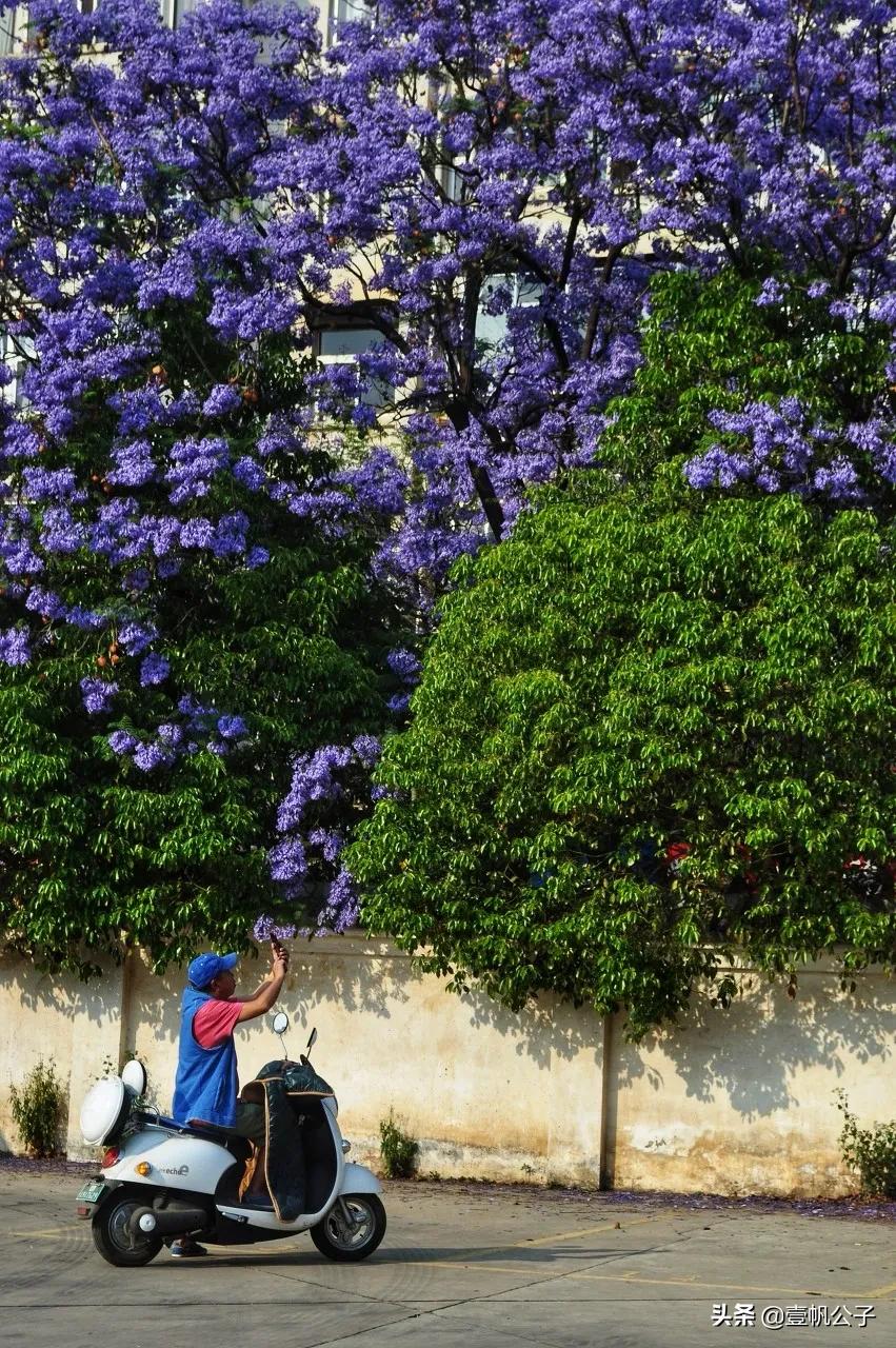 被大理的美景所折服,被丽江的风景美到了