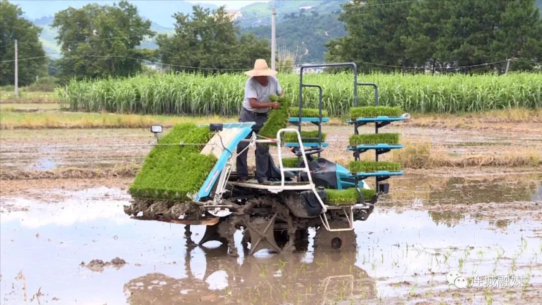 夏收夏种农机,福建省农机促春耕