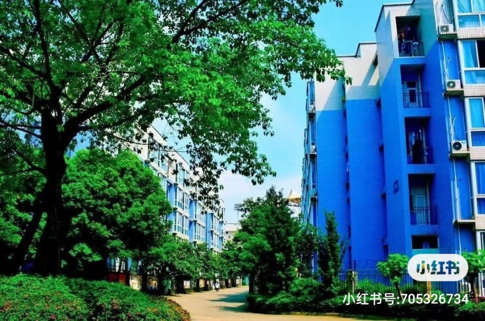 中国五冶龙泉直属学校,中国五冶学校招生咨询处