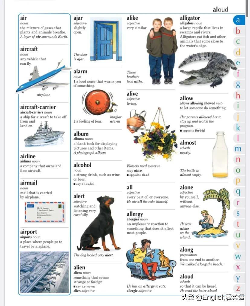 dk图书适合多大孩子,儿童英语字典图解