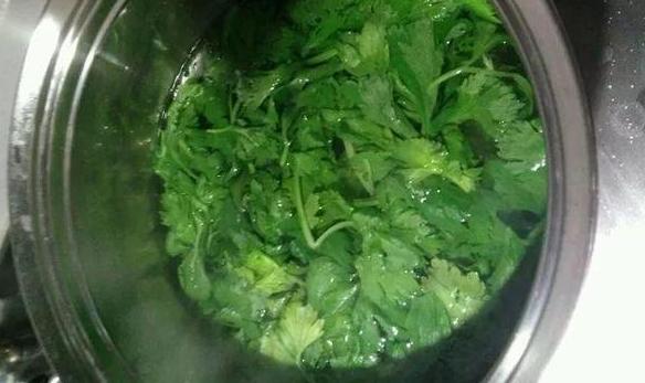 养花小妙招厨房垃圾变肥料,家里变废为宝的养花肥料