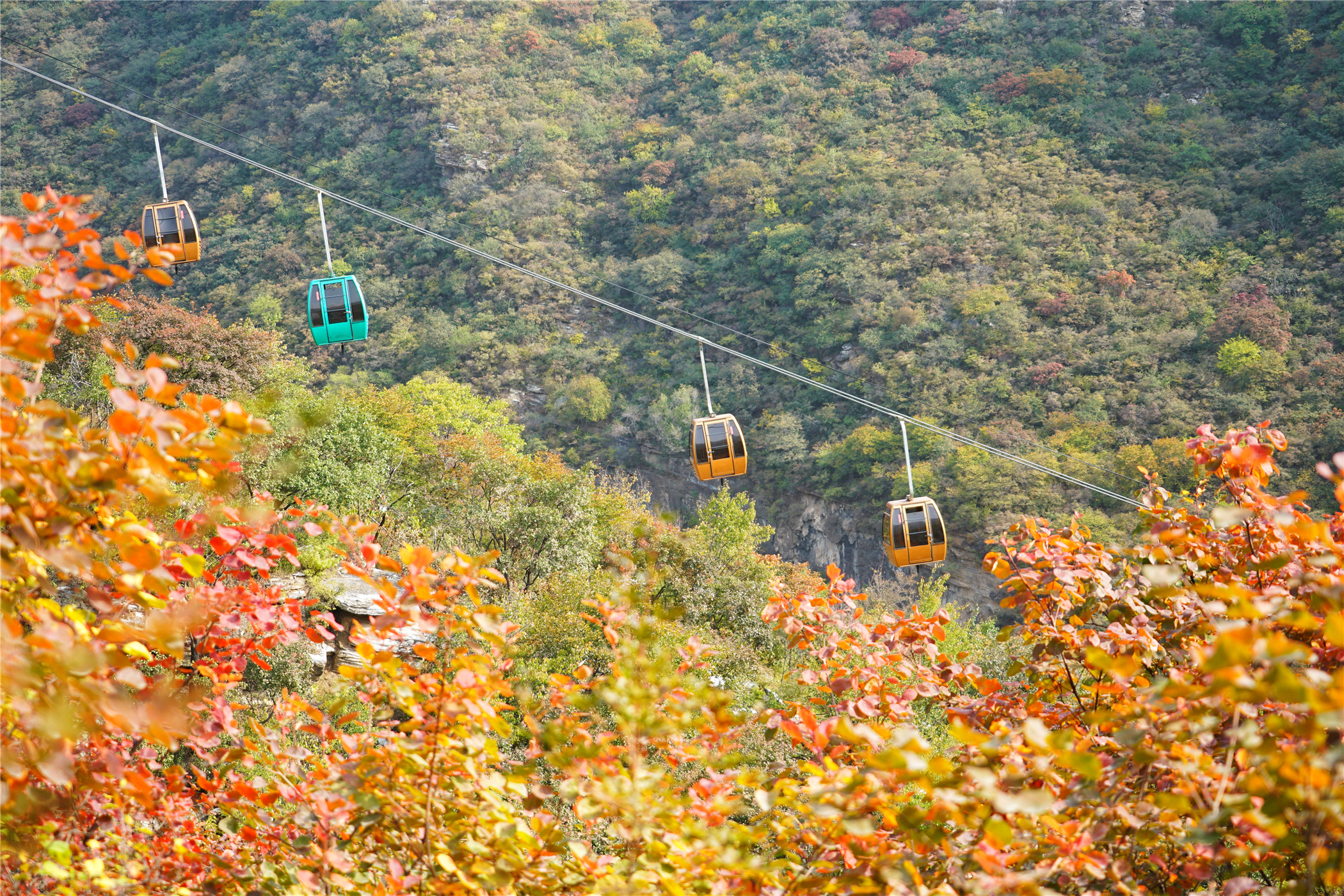 赏红叶最佳目的地,房山坡峰岭红叶最佳观赏