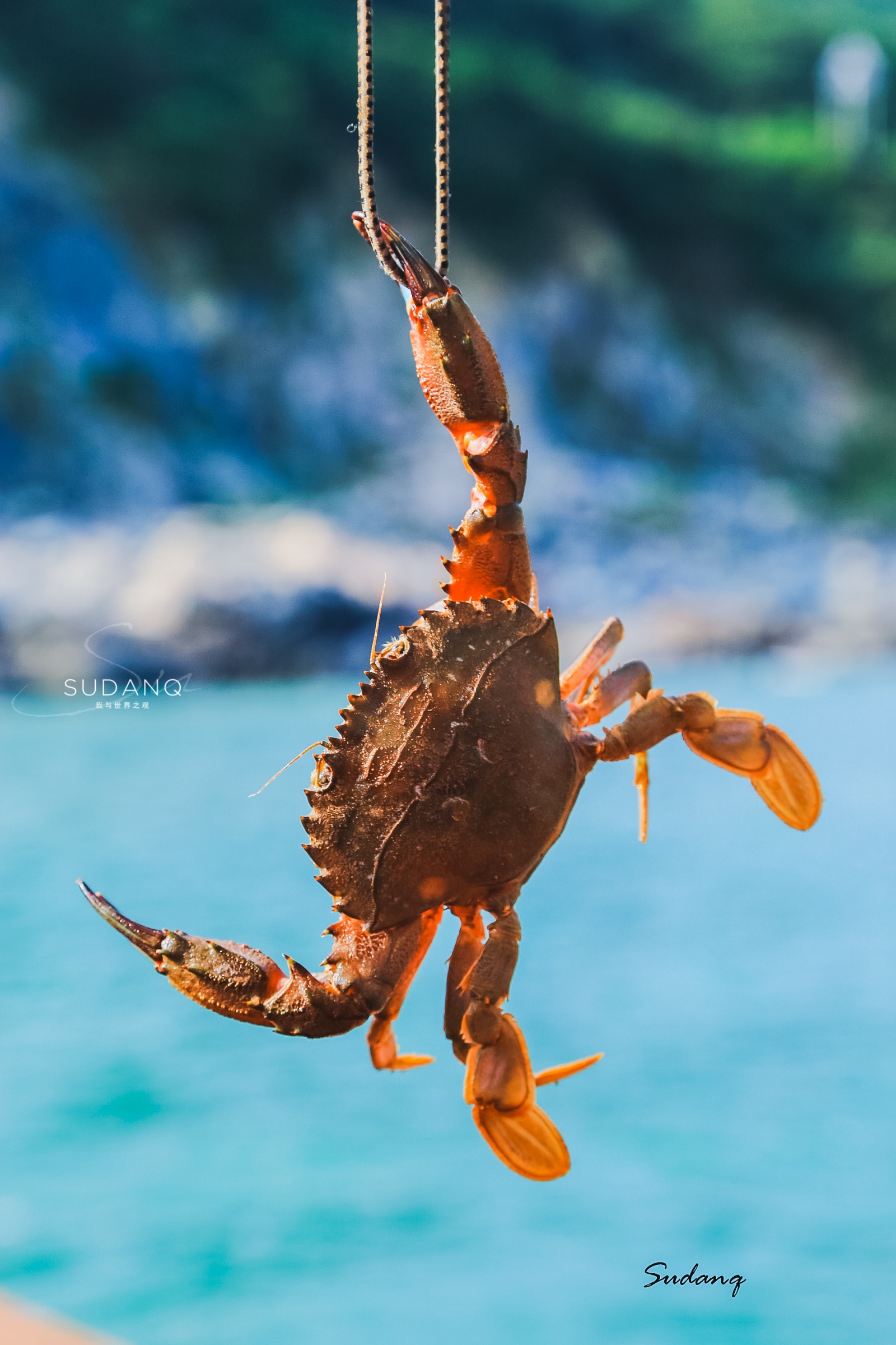 陆地尽头是哪里,海上仙山嵊泗列岛