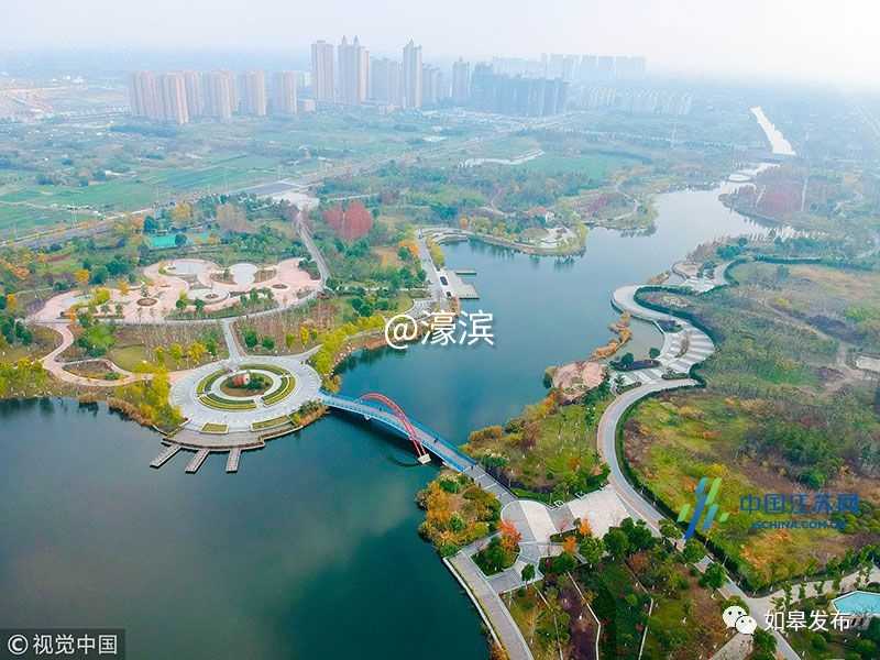 什么是如皋蝶尾,如皋的特点