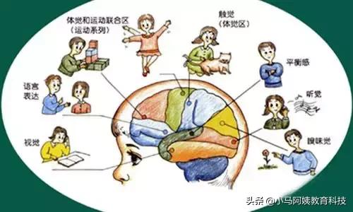 鏃╂棭鑰佸笀鏃╂暀璇剧▼,鏃╂棭鑰佸笀绉戝鏃╂暀