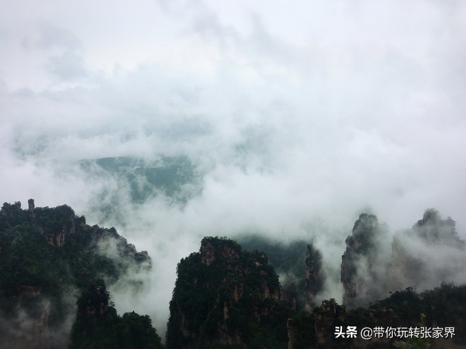 到张家界天门山自助游价格多少钱,武汉到张家界天门山三日游