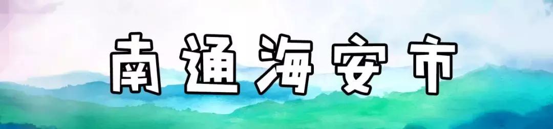 海安的历史建筑物,海安十大高大建筑