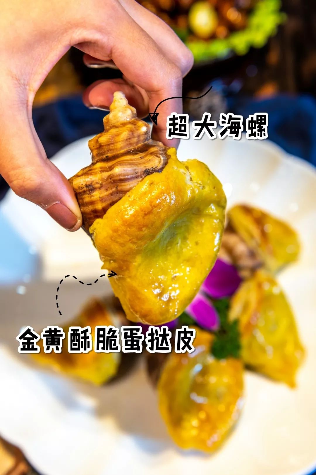 大连生蚝吉拉多,大连最大的生蚝