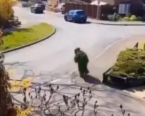 疫情期间宅在家看电视剧,疫情期间宅在家看手机