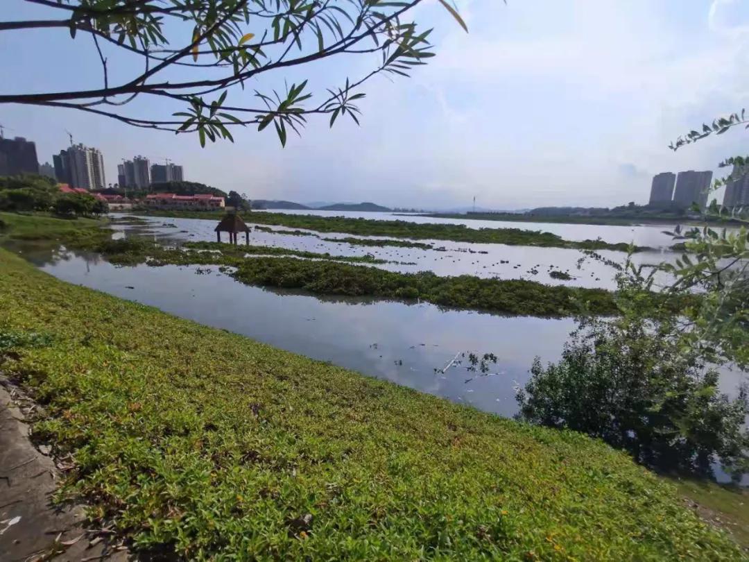 防城港一日游：我和大刘酸了，想在这边买房