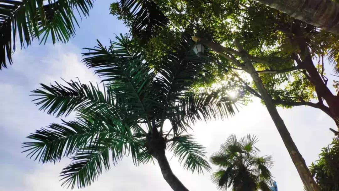 除了银基水世界还有哪些水上乐园,银基乐海水世界好玩么