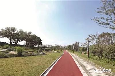 仁和区未来发展,仁和新城未来发展前景