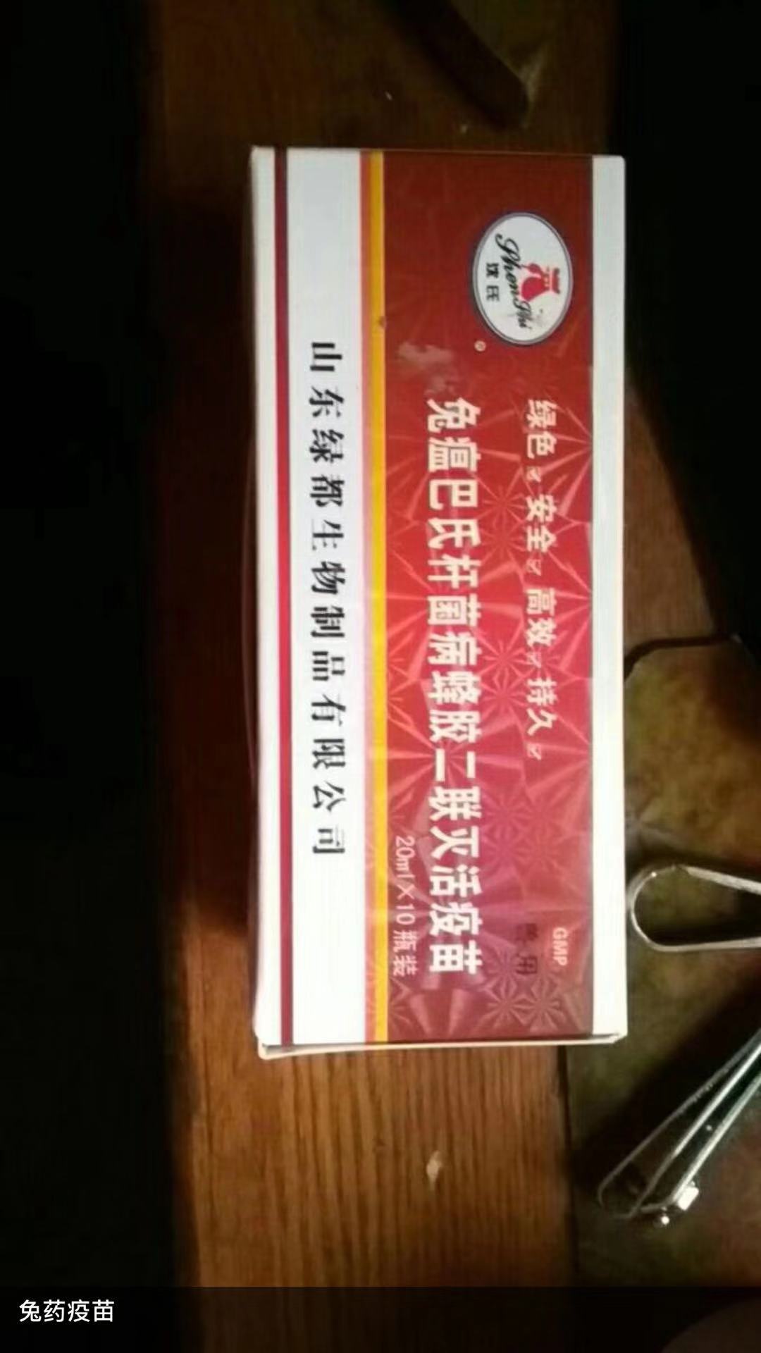 养兔必备药,新手养兔兔需要准备的药品