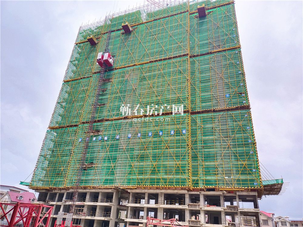 花郡玫瑰园1月份最新工程进度,工程进度洋房已封顶