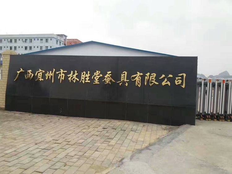 养蚕蚕病发作的原因,养蚕越来越多怎么办