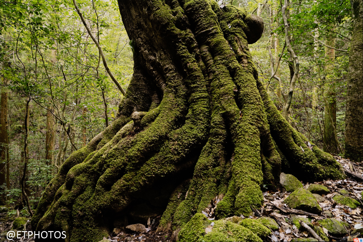 优派27寸vx2762显示器测评,显示器优派vx2780-4k