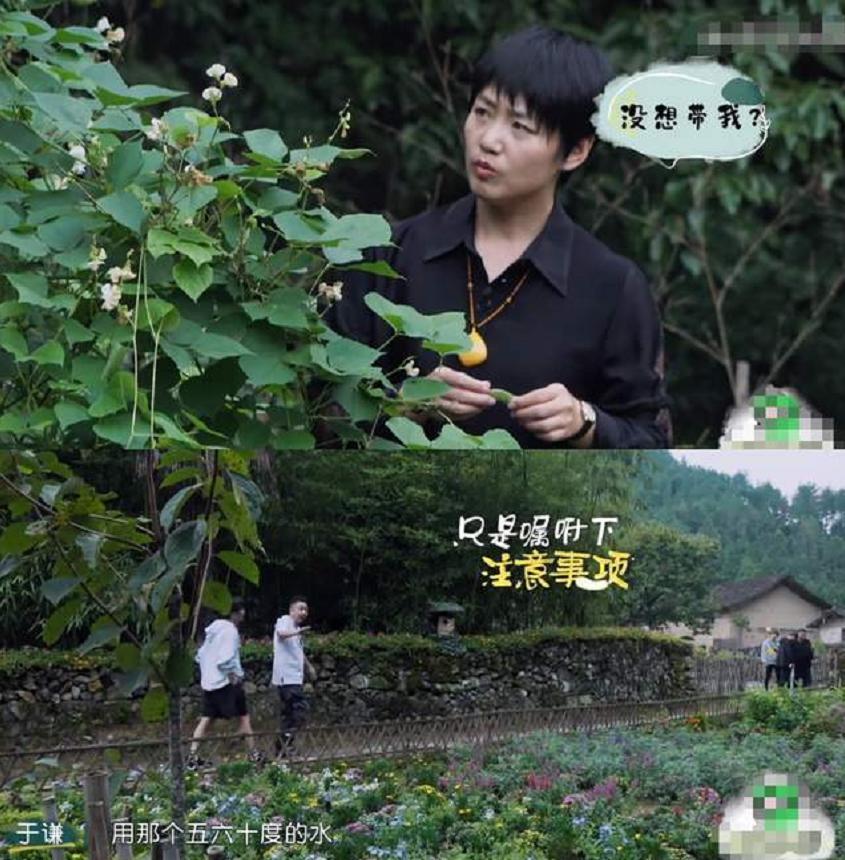 于谦年轻时的那些事,于谦人生高低起伏