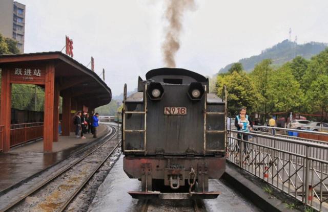 日本猫咪咖啡列车,日本火车站猫咪