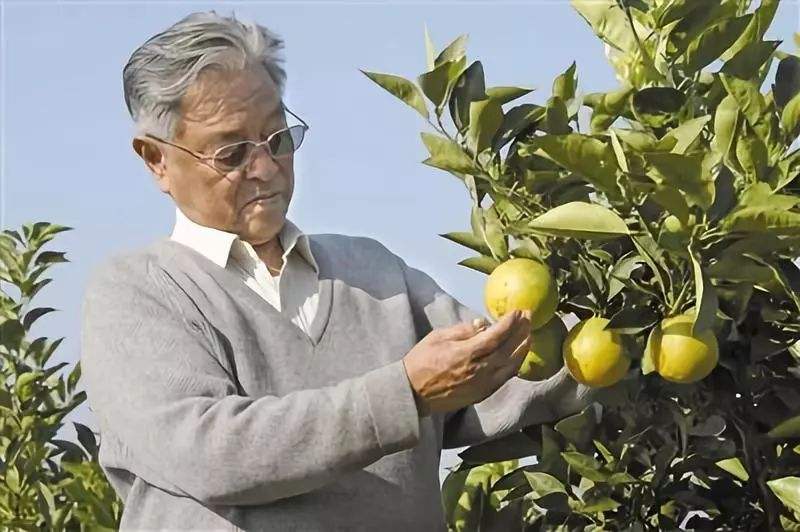 用品牌名字做头像,人头像的商标是什么品牌