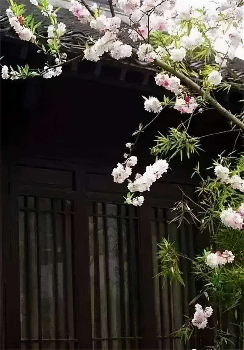 一个人的魅力也是一种风度,最有风度魅力的男人