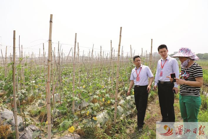 莆田农商行：红旗漫卷开新局风劲帆满图新志