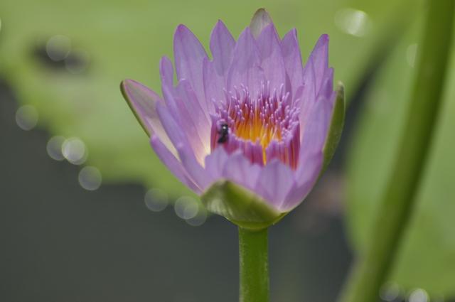 如何快速长头发,怎么样快速长头发