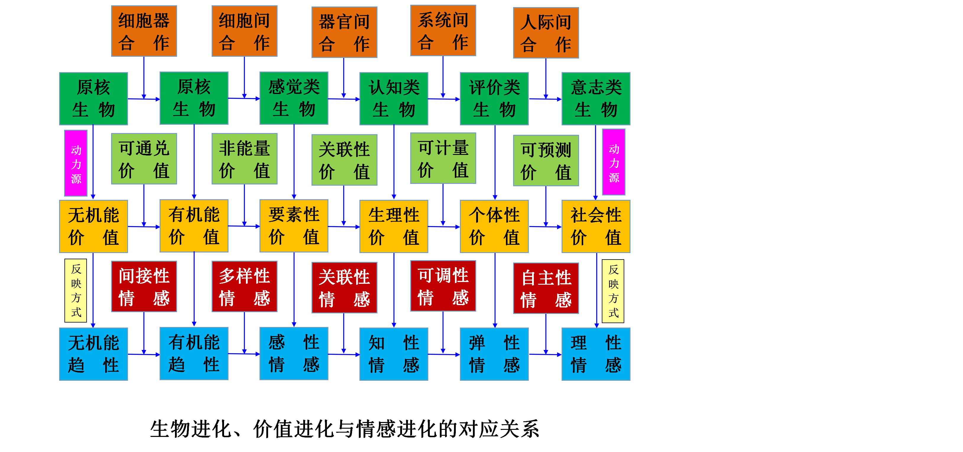 生物进化论深度解析,生物进化论的发展趋势及现状
