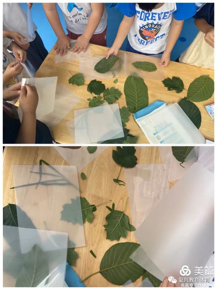 邯郸复兴区第一幼儿园环境,邯郸复兴区第一幼儿园是公立的吗