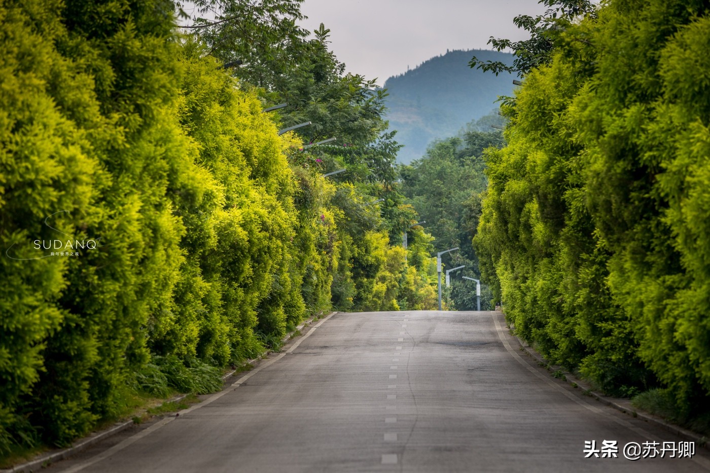 180块钱的门票,怎么玩才不冤枉?世界最大瀑布群来了不后悔