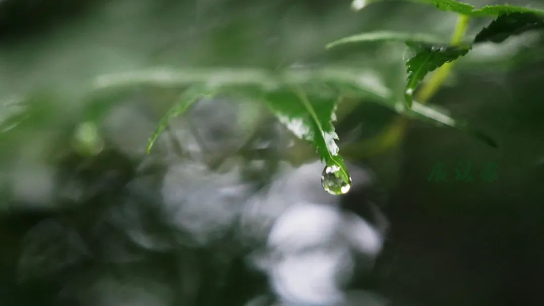正确的刮痧的方法视频,刮痧怎样才能快点散淤