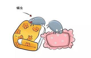 这个除螨神器让你远离螨虫困扰,除螨喷雾助你摆脱螨虫困扰