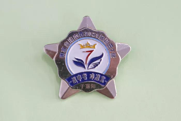 凝聚集体力量的班徽,团结友爱拼搏进取班徽