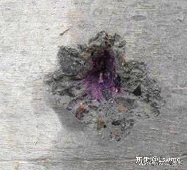 9层钢筋混凝土使用寿命,钢筋混凝土寿命最长的建筑