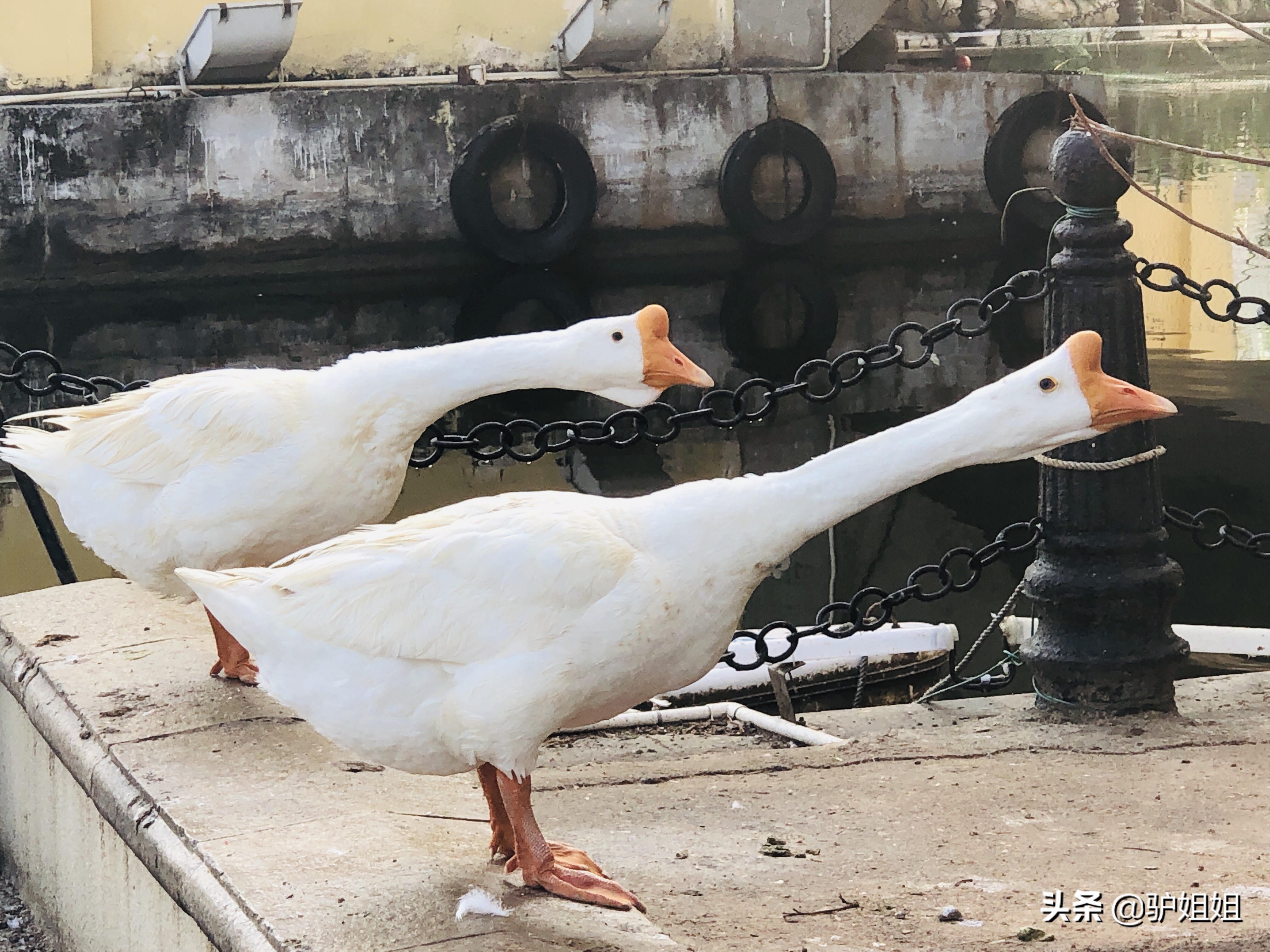 海泉湾亲子有什么好玩的,海泉湾的双人温泉