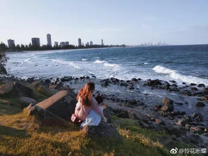 澳大利亚旅游抱考拉,麻麻游记视频大全