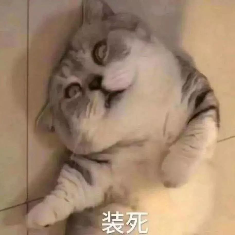 闲鱼卖货赚钱攻略,闲鱼闲置衣服怎么卖