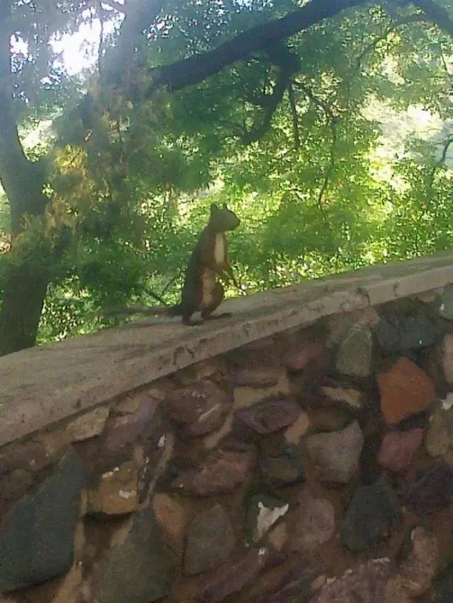 和田玉简单辨别真假方法,和田玉真假辨别最简单方法