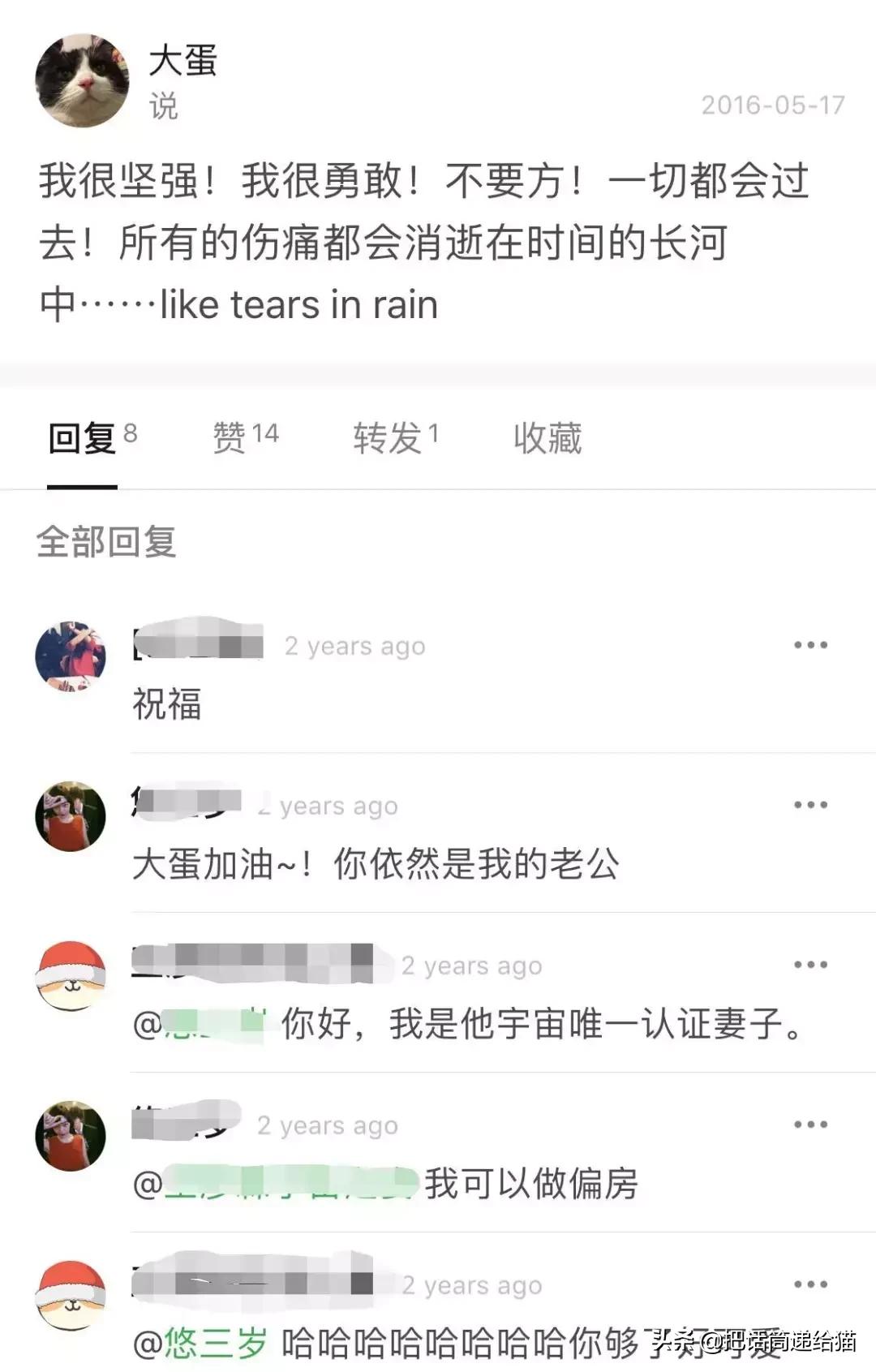 猫故事全集,猫故事小说