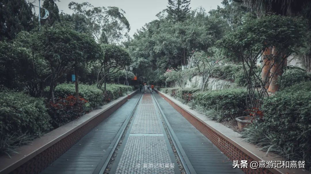 去厦门必须体验的六件事,送给第一次去厦门的五点建议