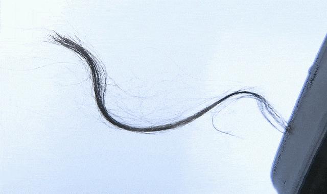 扫地机器人99999元,扫地机器人推荐99元