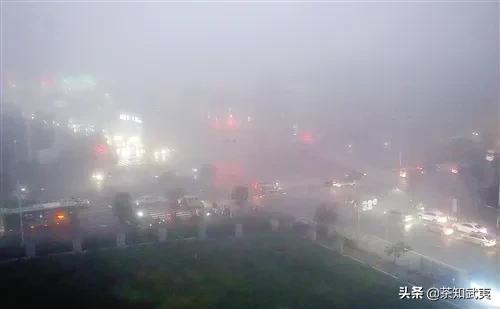 茶叶受潮怎么办7种方法来救你,茶叶受潮怎么办教你两招快速恢复