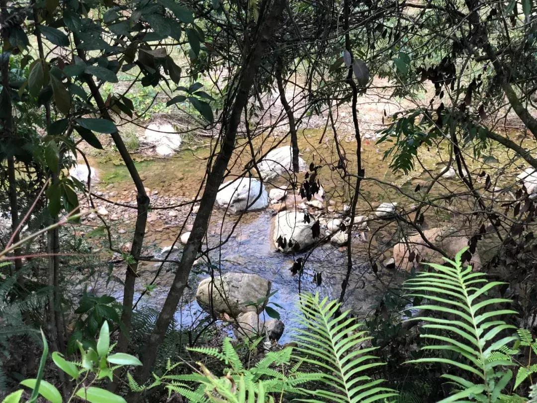 越过山丘才发现它如此优秀,越过山丘发现一无所有