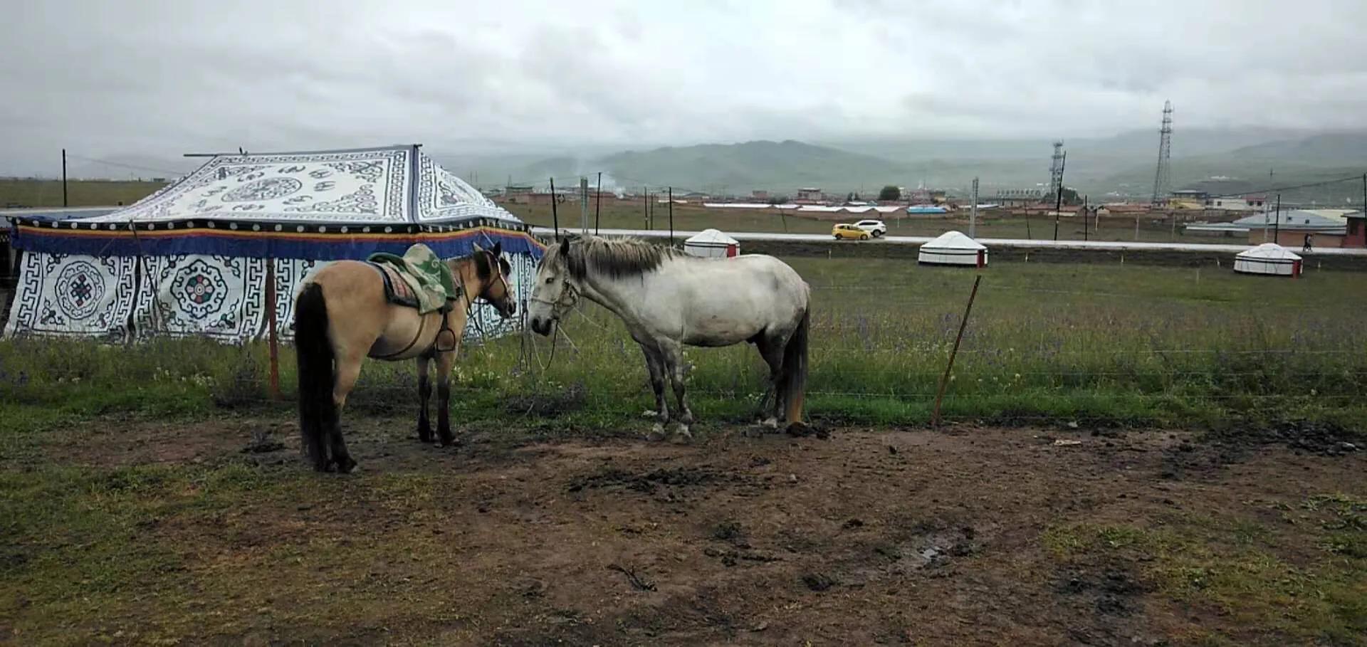 不爱学习的学生怎么引导,为什么差生不爱学习