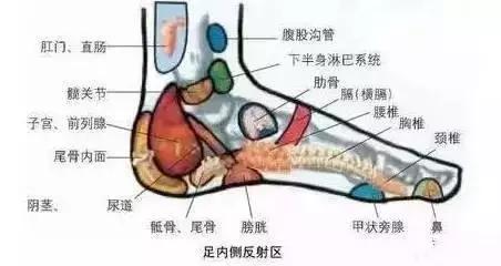 鍗疯¥鑴氶湶琚滆鏁欏,绉嬪啲鍗疯¥鑵块湶鑴氳笣