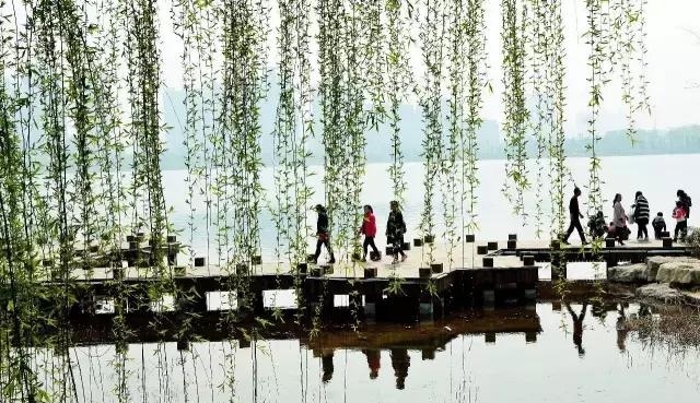 开封西湖风景太美了,开封西湖在开封什么位置