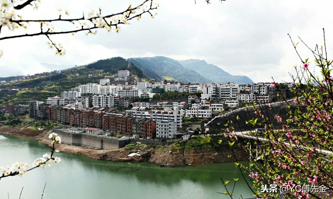 秭归沙镇溪茶叶,宜昌秭归沙镇溪